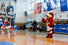 img-43