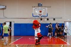 img-195